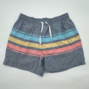 Chubbies Men’s Lined Swim Suit Shorts 5.5" Inseam Blue Striped Size L